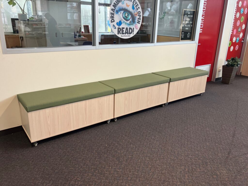 Custom Toy Box / Seat Fry Library & School Supplies